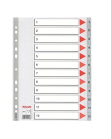 Separatore in PPL grigio numerico 1-12 A4 22,5x29,7cm ESSELTE