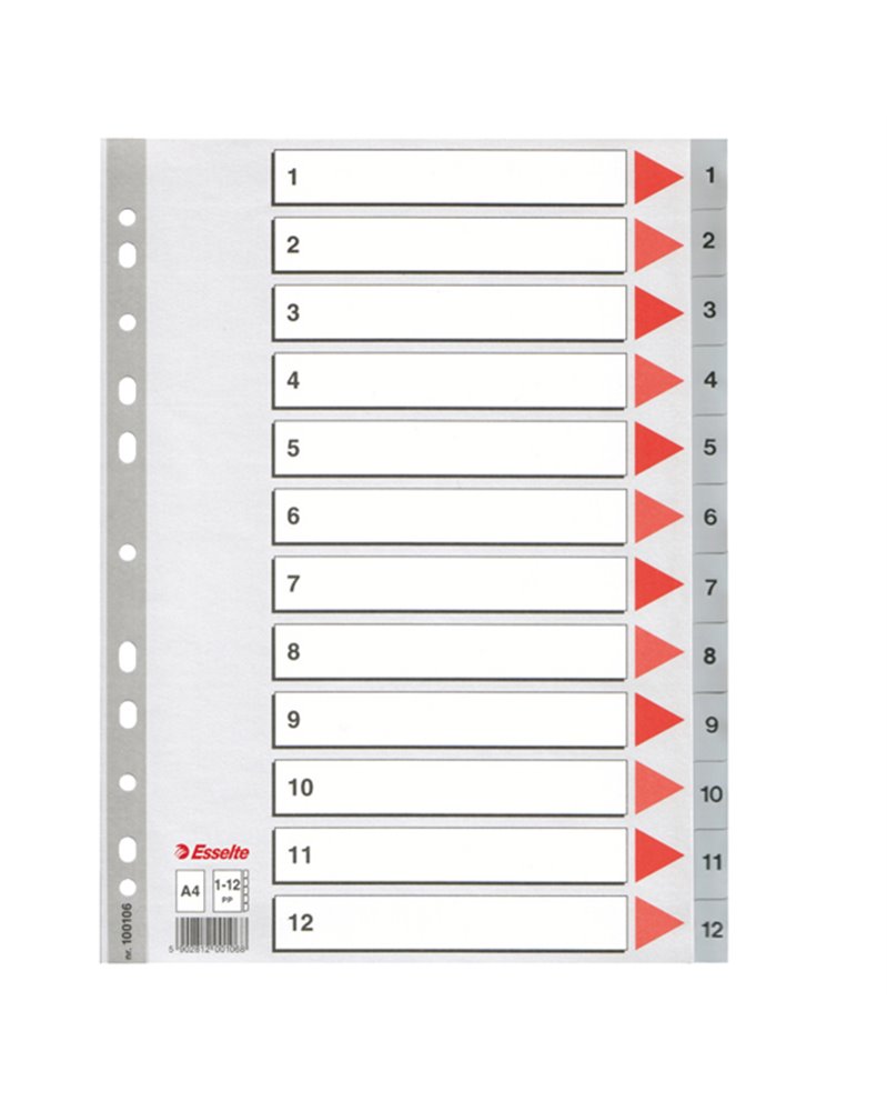 Separatore in PPL grigio numerico 1-12 A4 22,5x29,7cm ESSELTE