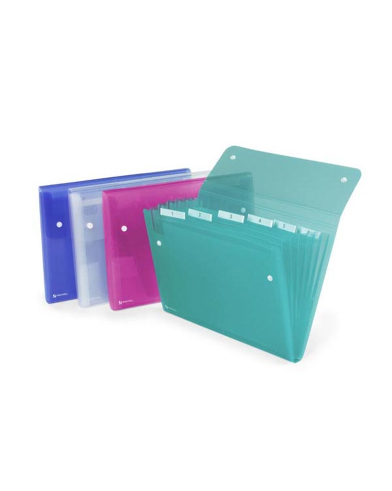 CARTELLA A 6 TASCHE 22X30CM ASSORT. ICE REXEL