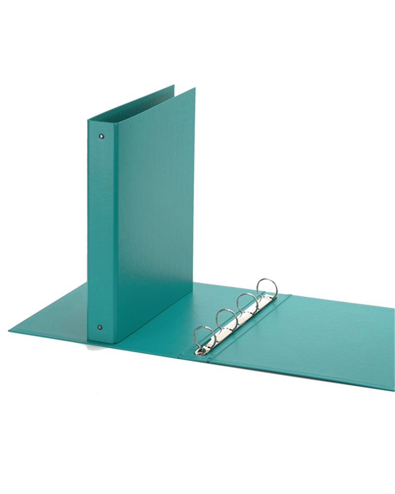 Raccoglitore Europa 4010 22x30mm 4R dorso 30 verde acqua Favorit Raccoglitore Europa 4010 22x30mm 4R dorso 30 verde acqua Favorit