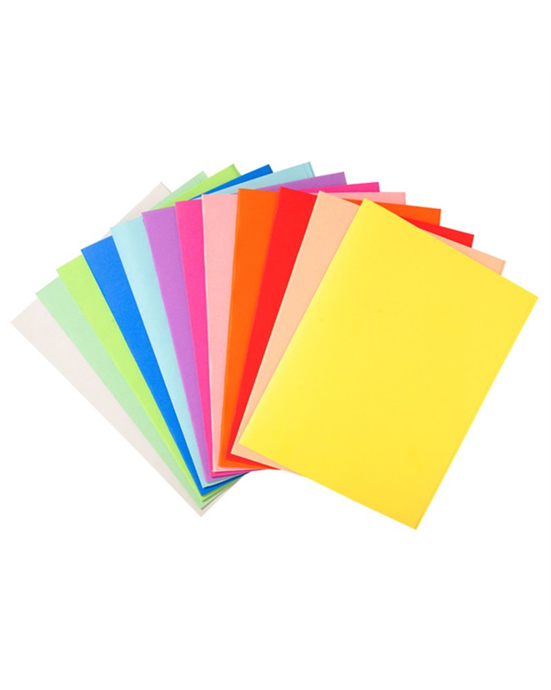 100 CARTELLINE SEMPLICI 220gr 24x32cm MIX 5 COLORI FOLDYNE
