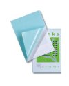 Scatola 100 pouches 2x125mic 303x426mm A3 Peel'n Stick GBC
