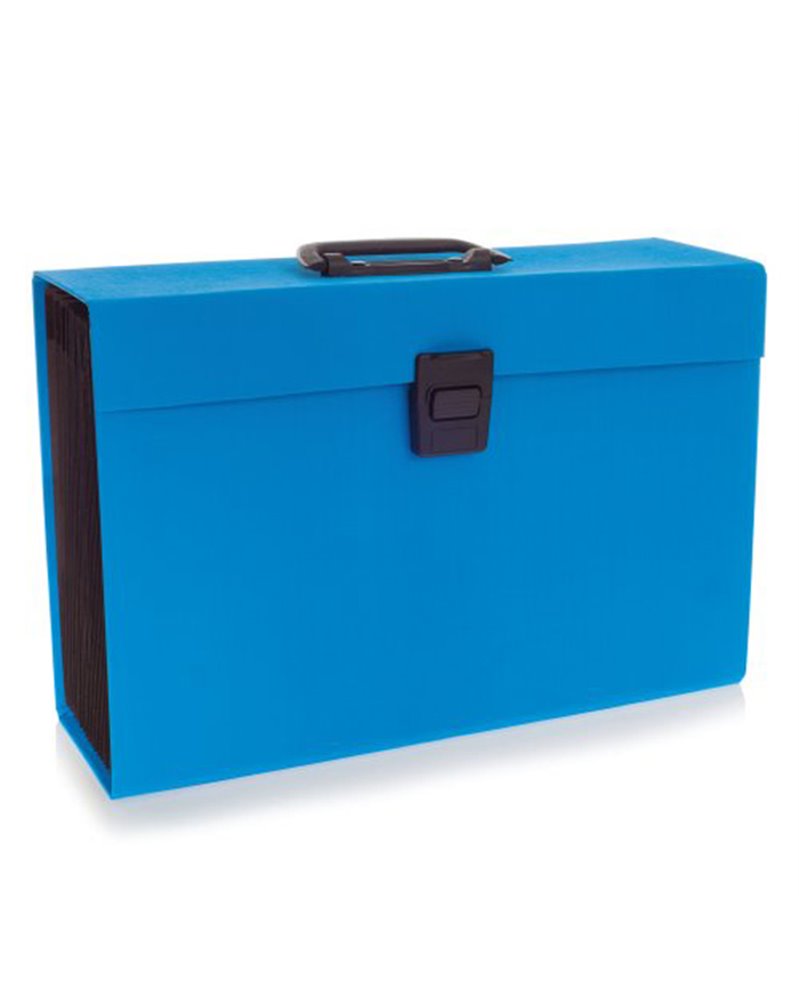 ARCHIVIATORE A SOFFIETTO AZZURRO 19TASCHE JOY Rexel