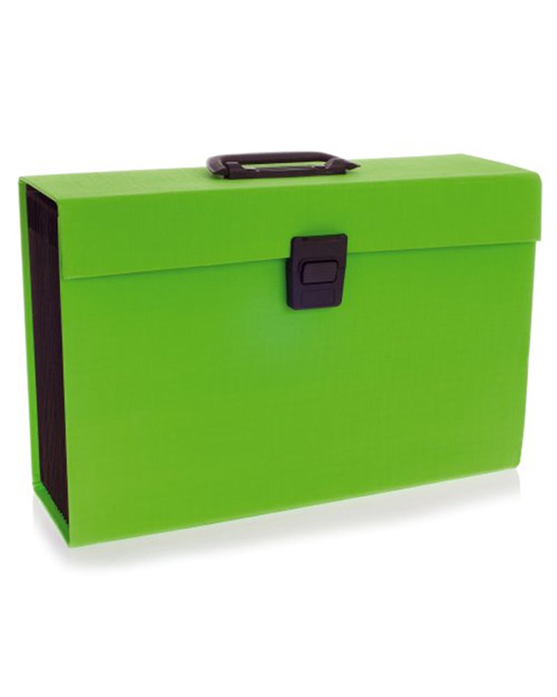 ARCHIVIATORE A SOFFIETTO VERDE LIME 19TASCHE JOY Rexel