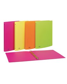 Raccoglitore PPL 22x30mm 4R dorso 15 colori assortiti neon Favorit
