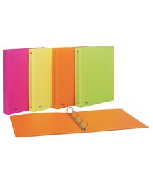 Raccoglitore PPL 22x30mm 4R dorso 30 colori assortiti neon Favorit