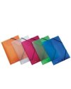 Cartella 3L C/elastico colori ass. LUMINA 22X30 D0-3 Favorit