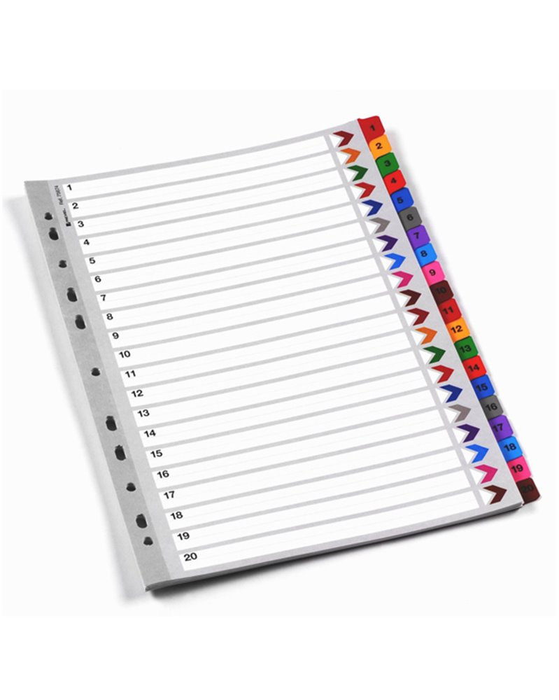 Divisori Mylar Numerici 20 posizioni Rexel