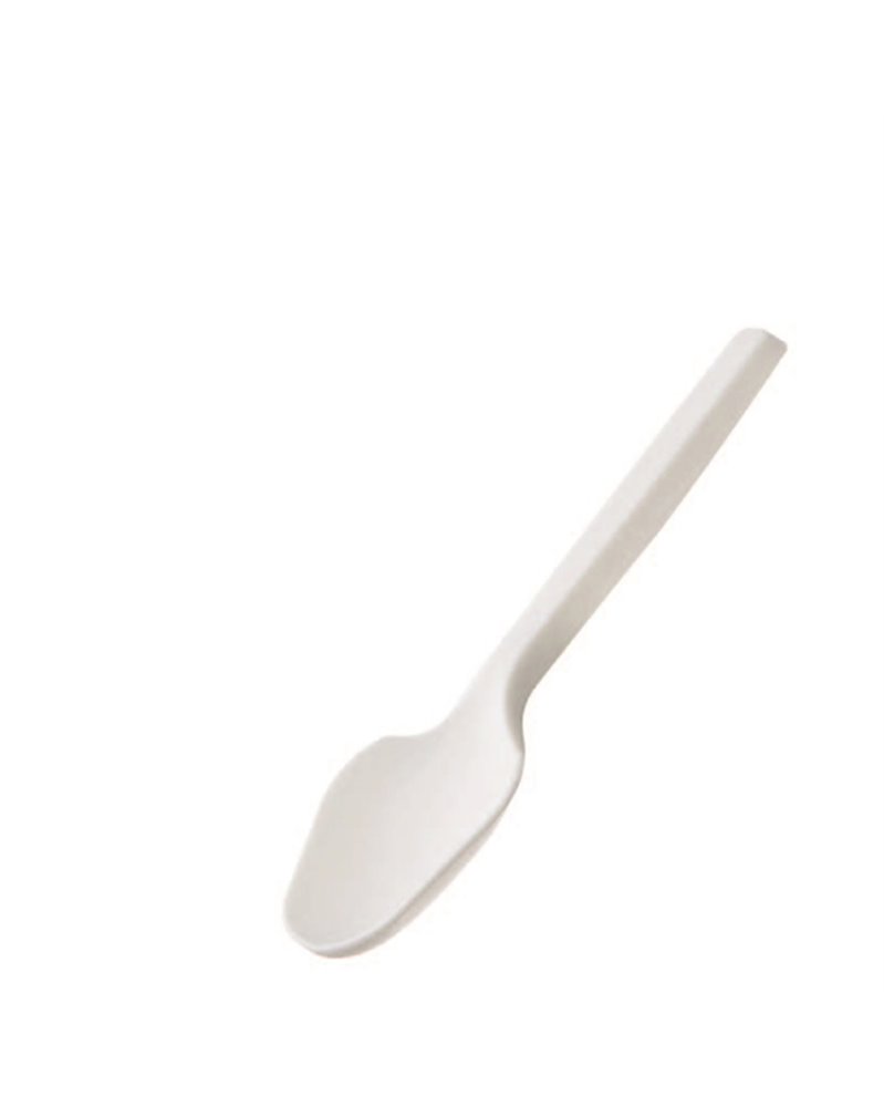 100 Cucchiaino in CPLA 10 cm Leone