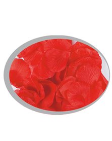 Busta da 144 petali rossi Big Party