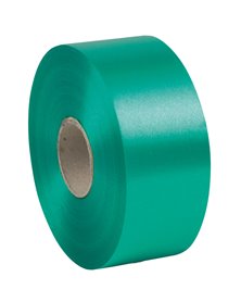 Nastro liscio 6800 50mmx100mt colore verde bandiera 09 Brizzolari