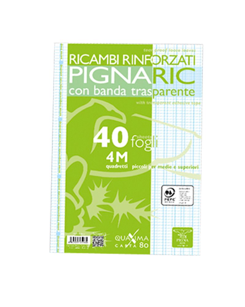 RICAMBI FORATI RINFORZATI A4 4MM 40FG 80GR PIGNARIC