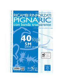 RICAMBI FORATI RINFORZATI A4 5MM 40FG 80GR PIGNARIC