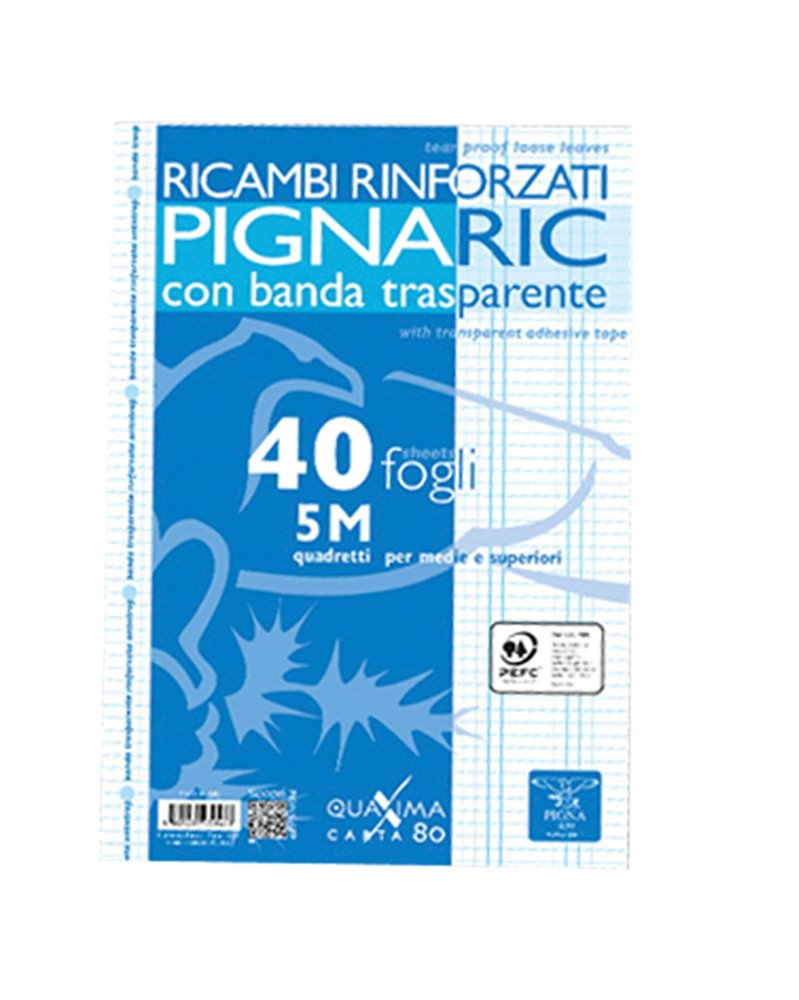 RICAMBI FORATI RINFORZATI A4 5MM 40FG 80GR PIGNARIC