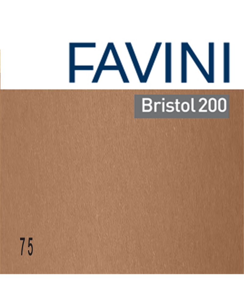 Conf.25 cartoncino Bristol Color 200gr 50x70cm marrone 75 Favini