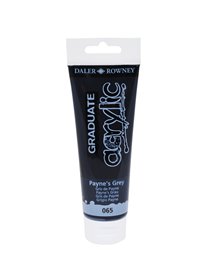 Colore acrilico fine Graduate tubo 120 ml grigio di Payne Daler Rowney