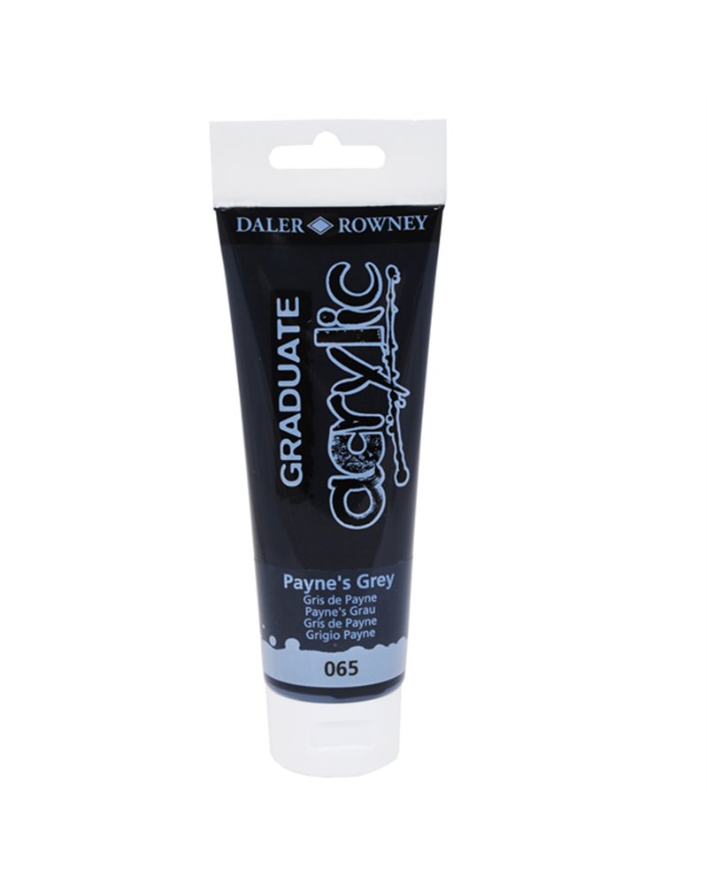 Colore acrilico fine Graduate tubo 120 ml grigio di Payne Daler Rowney