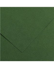 Foglio COLORLINE 70x100 cm 220 gr. 31 Verde abete