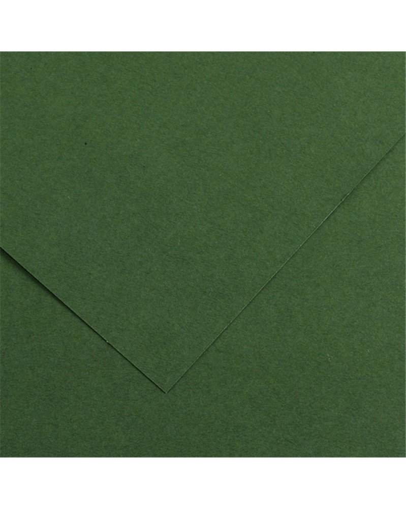 Foglio COLORLINE 70x100 cm 220 gr. 31 Verde abete