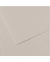 Foglio MI-TEINTES A4 cm 160 gr. 120 grigio perla