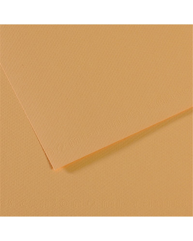 Foglio MI-TEINTES A4 cm 160 gr. 340 canapa chiara