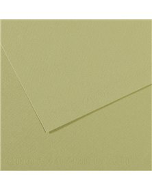 Foglio MI-TEINTES A4 cm 160 gr. 480 verde mandorla