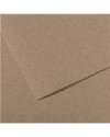 Foglio MI-TEINTES A4 cm 160 gr. 431 grigio screziato