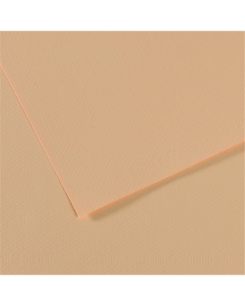 Foglio MI-TEINTES A4 cm 160 gr. 350 rosa muraglia