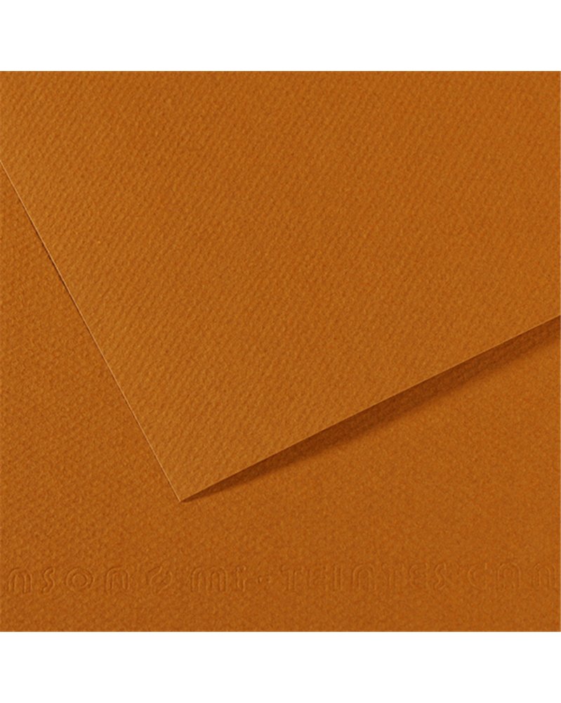 Foglio MI-TEINTES A4 cm 160 gr. 502 avana chiaro