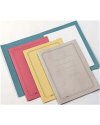 100 CARTELLINE SEMPLICI AZZURRO C/STAMPA 145GR
