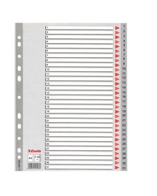 Separatore in PPL grigio numerico 1-31 f.to A4 ESSELTE