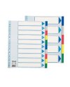 Separatore neutro in PPL 10 tasti colorati f.to A4 MAXI 24,5x29,7cm ESSELTE