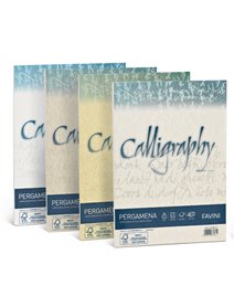 Carta CALLIGRAPHY PERGAMENA 90gr A4 50fg bianco 01 FAVINI