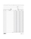 100 SCHEDE VERTICALE 21X15CM DARE/AVERE/SALDO E3336BL
