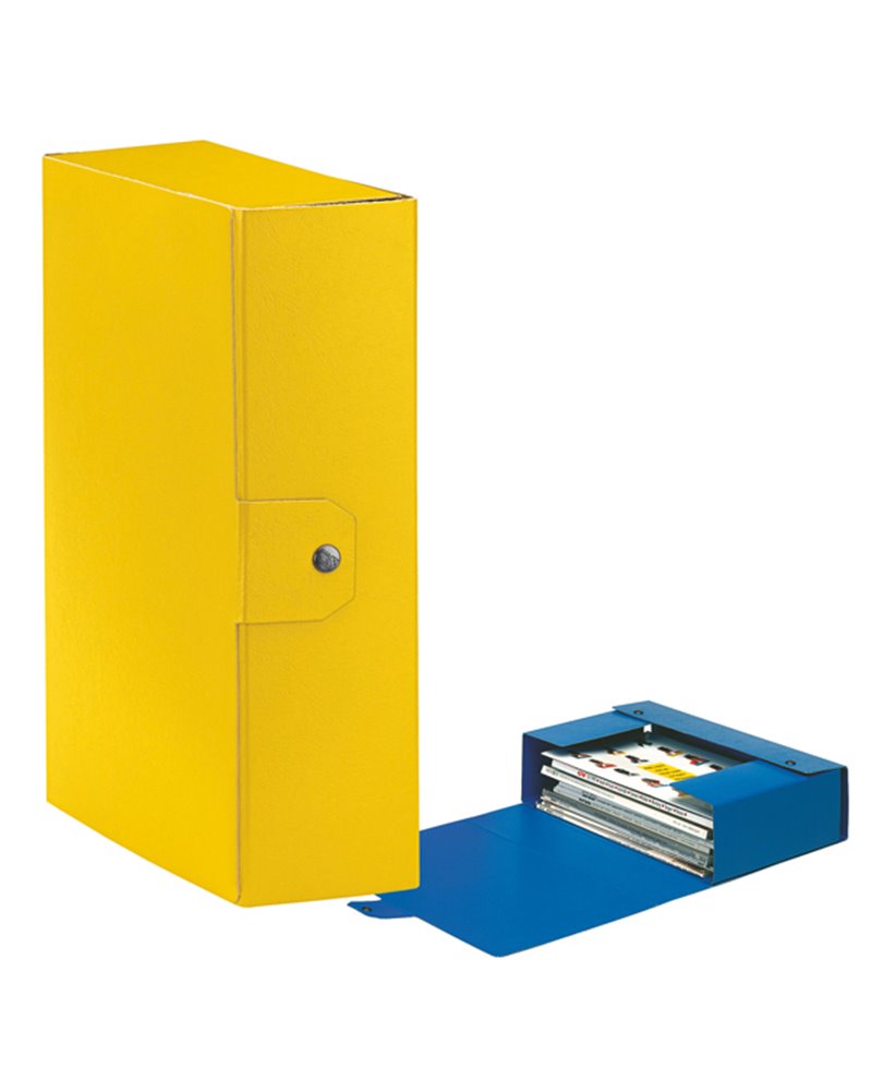 Scatola progetto C30 25x35cm dorso 10 giallo ESSELTE