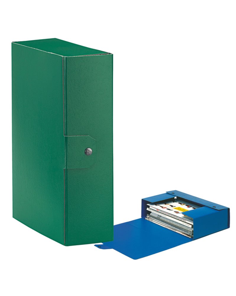 Scatola progetto C30 25x35cm dorso 10 verde ESSELTE